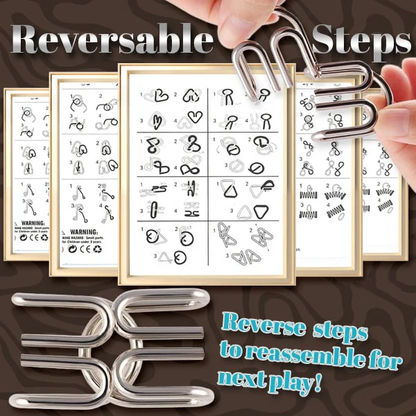 Phexira® 3D Metal Challenge Puzzle Toy