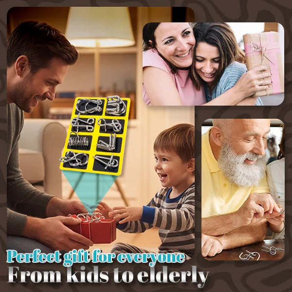 Phexira® 3D Metal Challenge Puzzle Toy