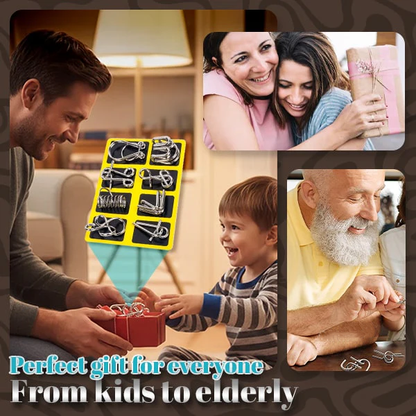 Phexira® 3D Metal Challenge Puzzle Toy