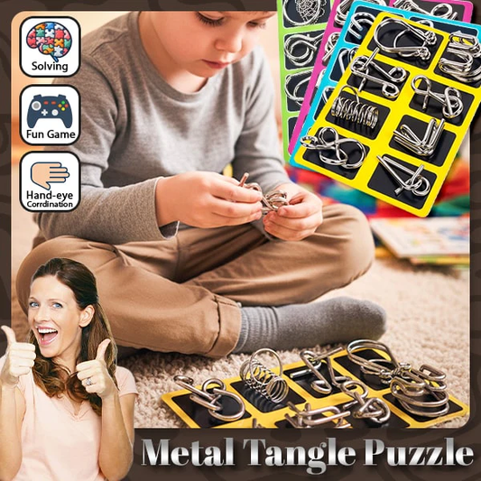 Phexira® 3D Metal Challenge Puzzle Toy