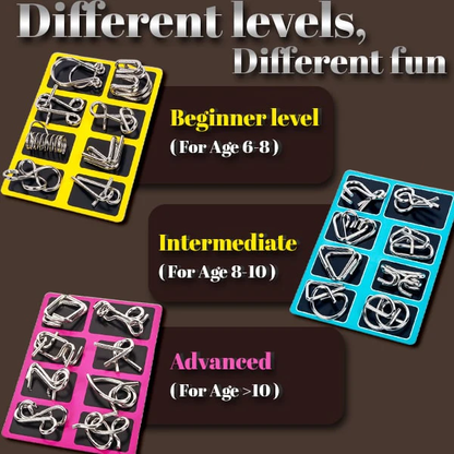 Phexira® 3D Metal Challenge Puzzle Toy