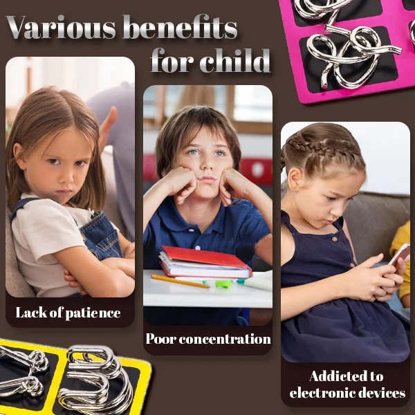 Phexira® 3D Metal Challenge Puzzle Toy