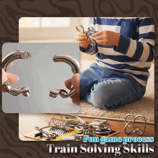 Phexira® 3D Metal Challenge Puzzle Toy